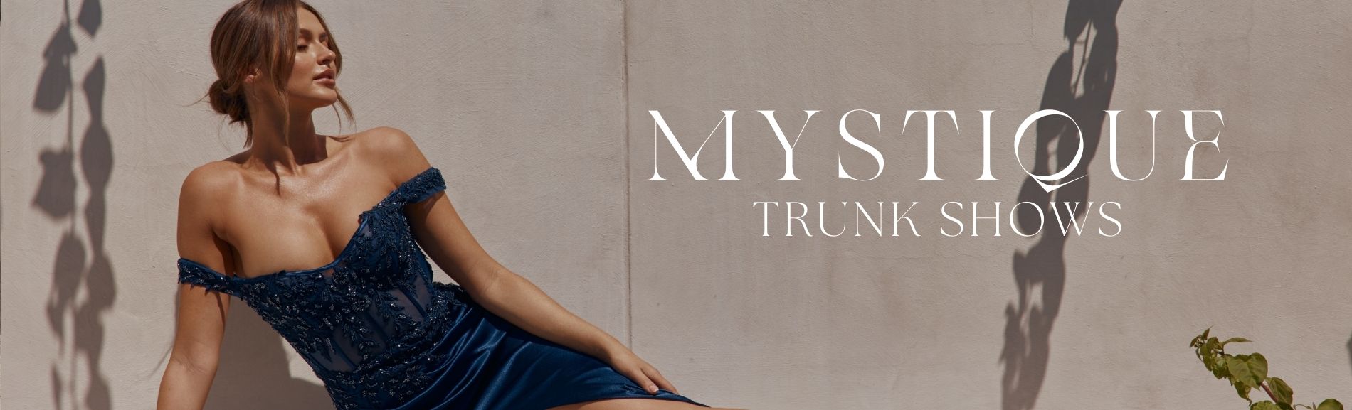 Mystique Trunk Show Banner